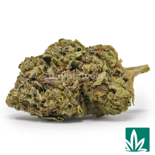 Sour OG Strain - 1