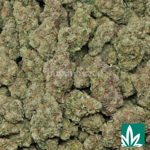 Sour Tangie Strain - 2