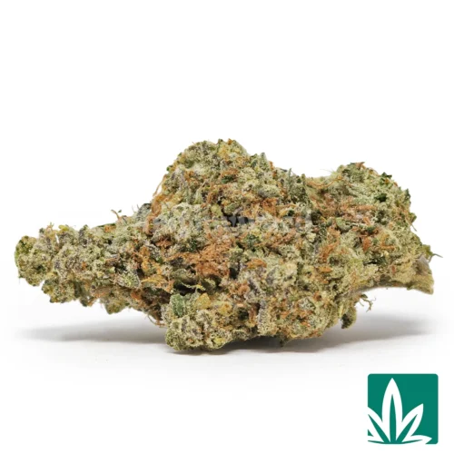 Sour Tangie Strain - 1