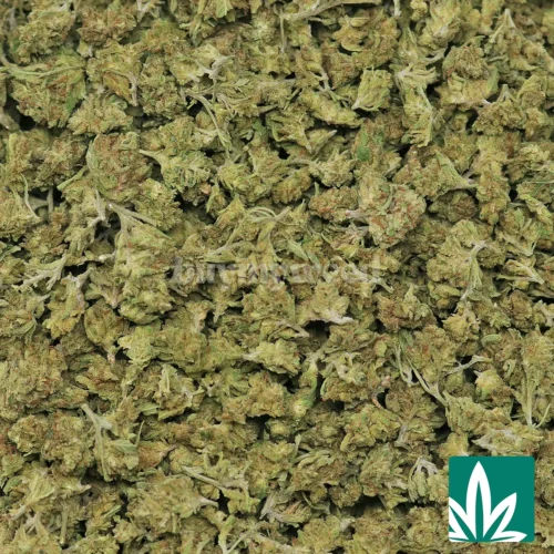 Super Lemon Haze 'Smalls' Strain - 2