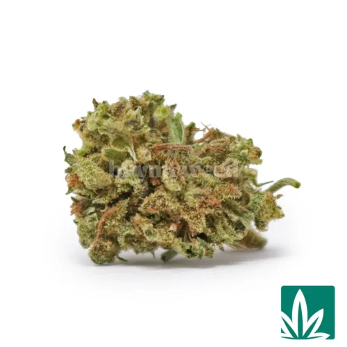 Super Lemon Haze 'Smalls' Strain - 1
