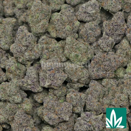 Super Runtz Strain - 2