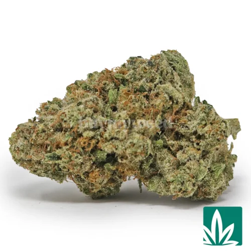 True OG Strain - 1