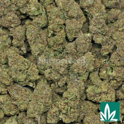 White Widow Strain - 2