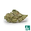Yahemi 'Smalls' Strain - 1