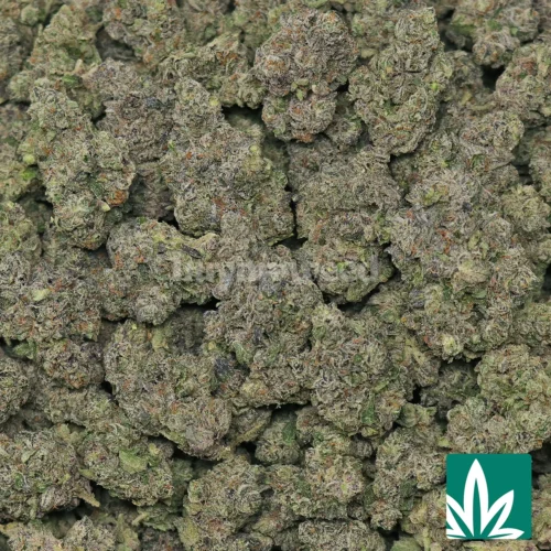 Zoap Strain - 2