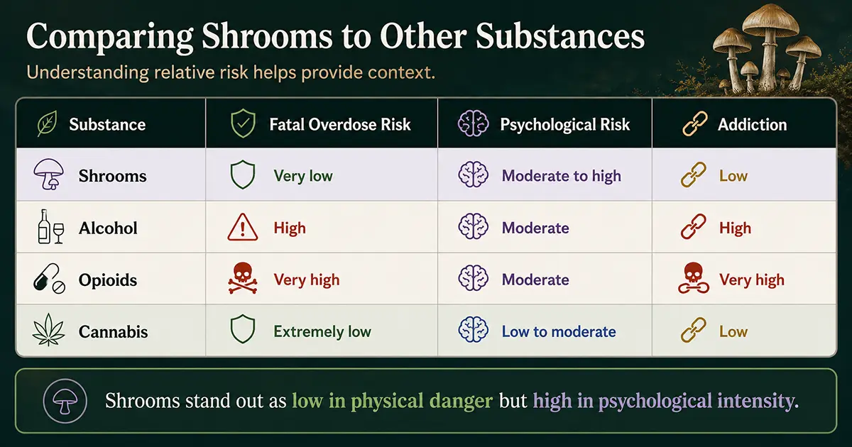 Comparing Shrooms to Other Substances