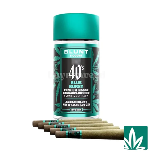 STZY .5G 40's Infused Mini Blunts 5 Pack (2.5g) - Blue Burst