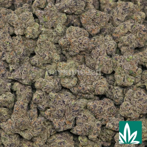 Bubblegum Gushers Strain - 2