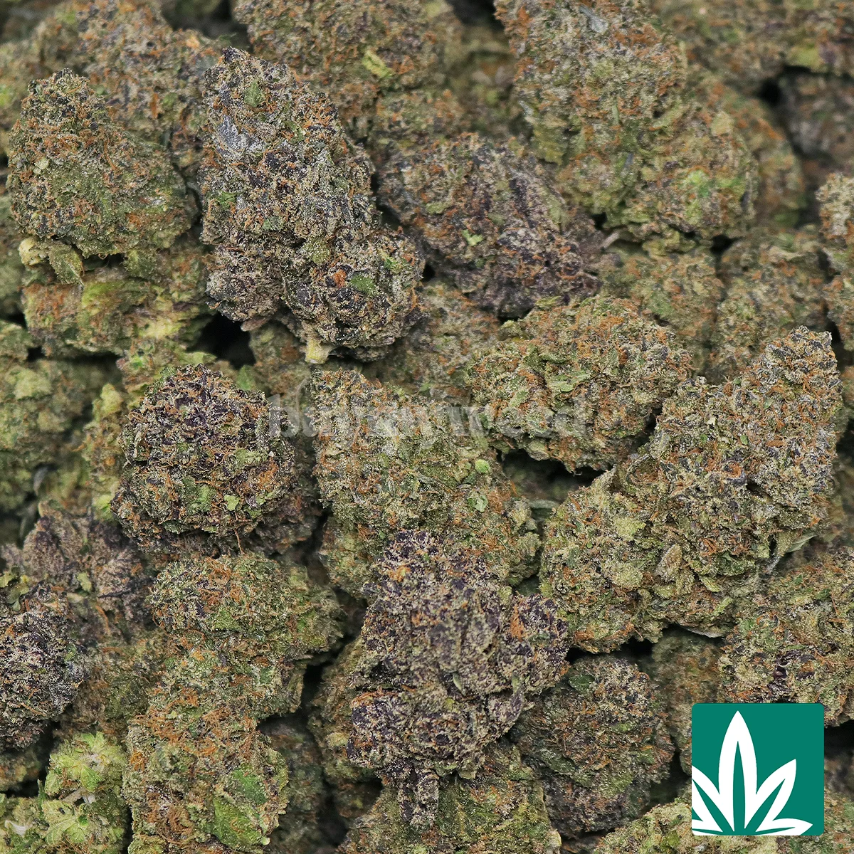Chemdog Strain - 2