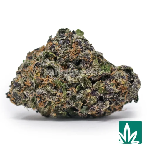Chemdog Strain - 1