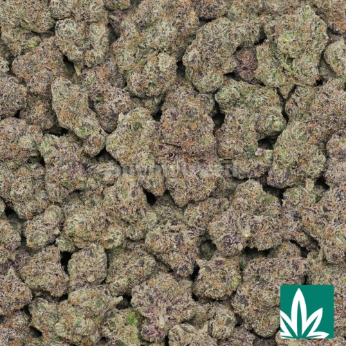 Cherry Gusher Strain - 2