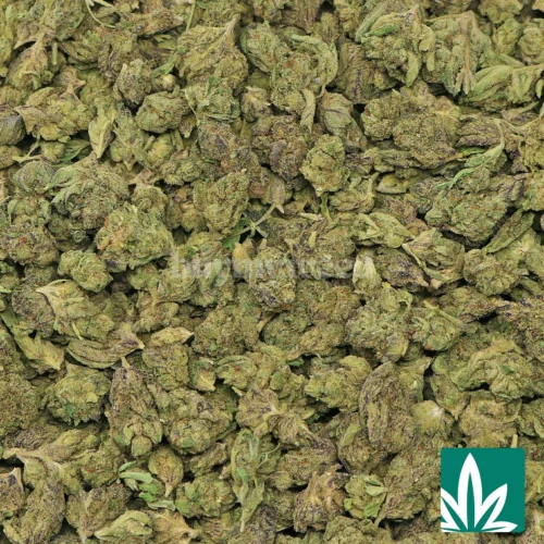Cherry 'Smalls' Strain - 2