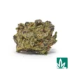 Cherry 'Smalls' Strain - 1