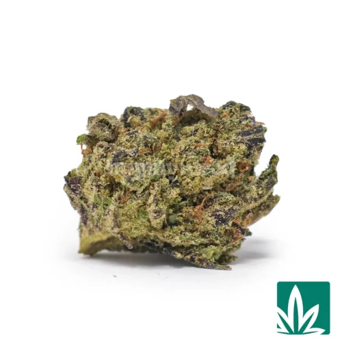 Cherry 'Smalls' Strain - 1