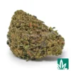 Gelato 33 Strain - 1