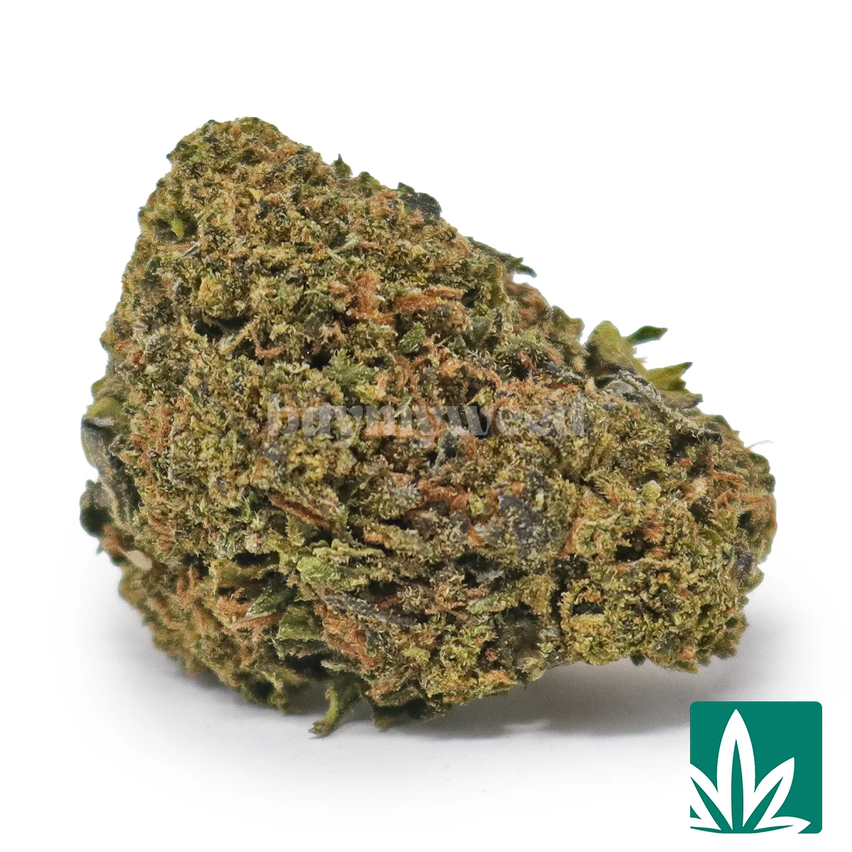 Gelato 33 Strain - 1