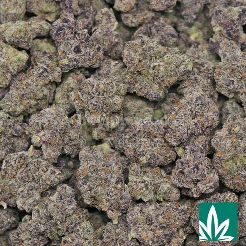 Platinum Fumez Strain - 2