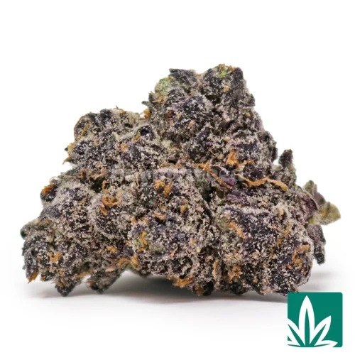 Platinum Fumez Strain - 1