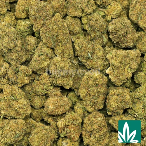 Sour Diesel Strain - 2