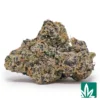 White Cherry Gelato Strain - 1