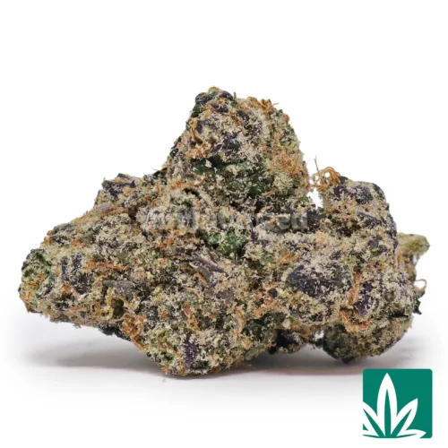 White Cherry Gelato Strain - 1