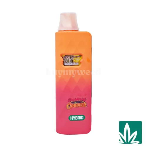 Whole Melt Dual Chamber Disposable (2g) - Gushberry Cobbler x Papaya Cream - 1