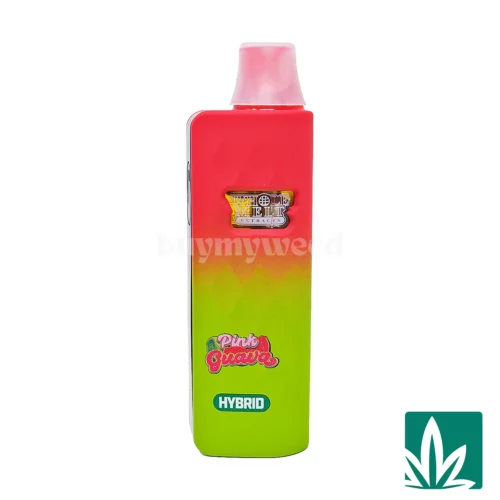 Whole Melt Dual Chamber Disposable (2g) - Honey Drizzle x Pink Guava - 2