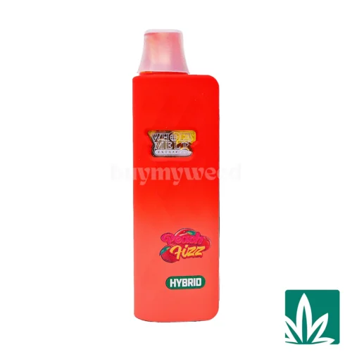 Whole Melt Dual Chamber Disposable (2g) - Peach Fizz x Cherry Gas - 1