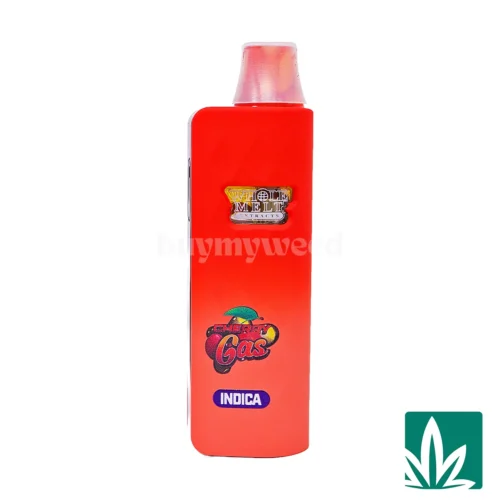 Whole Melt Dual Chamber Disposable (2g) - Peach Fizz x Cherry Gas - 2