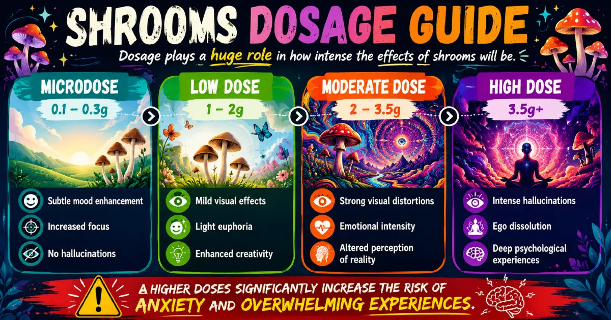 Shrooms Dosage Guide What to Expect at Different Levels
