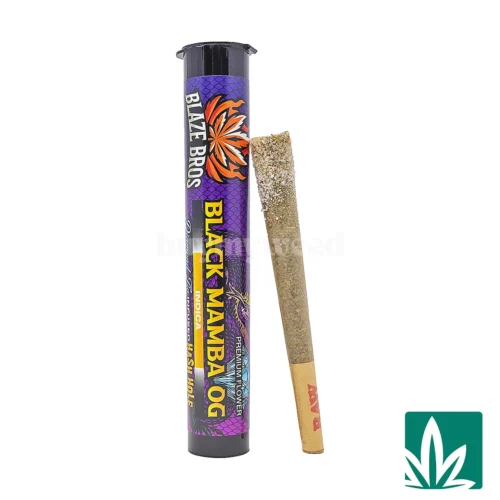 Blaze Bros - Diamond Tip Infused Hash Hole (2g) - Black Mamba OG