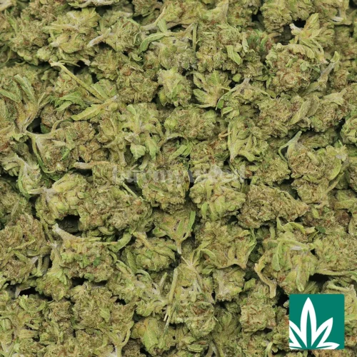 Blueberry Punch 'Smalls' Strain - 2