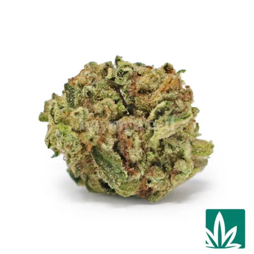 Blueberry Punch 'Smalls' Strain - 1