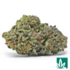 Blue Cookies Strain - 1