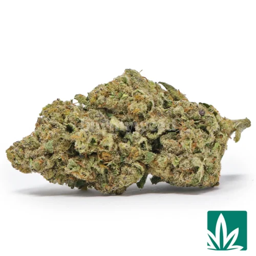 Blue Starburst Strain - 1