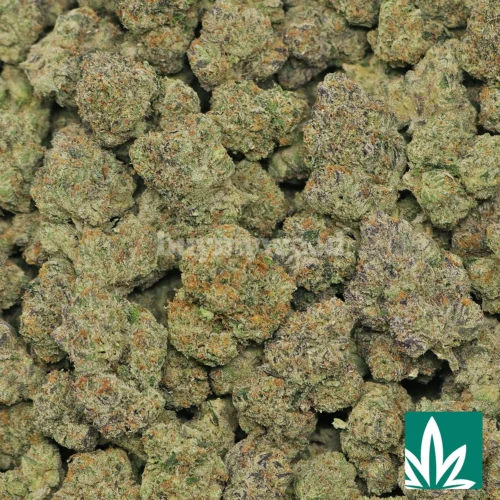 Candy Gas Strain - 2