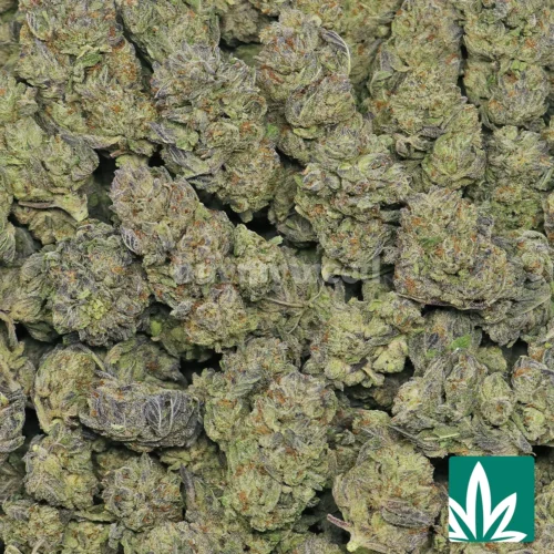 Cookies n Cream Strain - 2