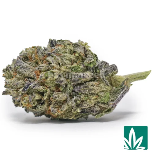 Cookies n Cream Strain - 1