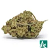Creme Brulee Strain - 1