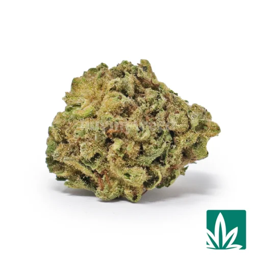 Creme Brulee 'Smalls' Strain - 1