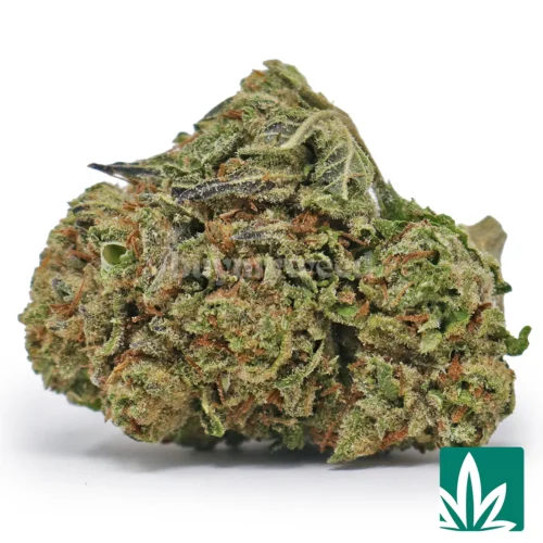Fire OG Strain - 1