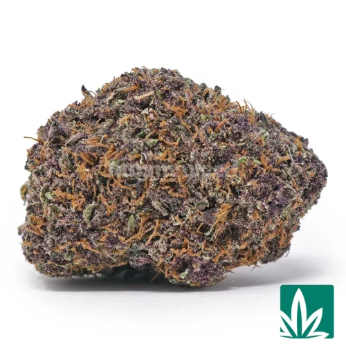 Forbidden Fruit Strain - 1