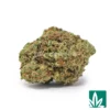 Garlic Banana 'Smalls' Strain - 1