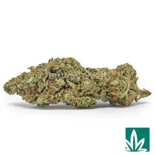 Gas Berry Strain - 1