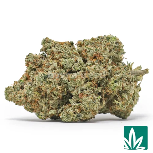 GG4 Strain - 1