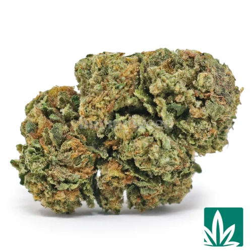 Greasy Runtz Strain - 1