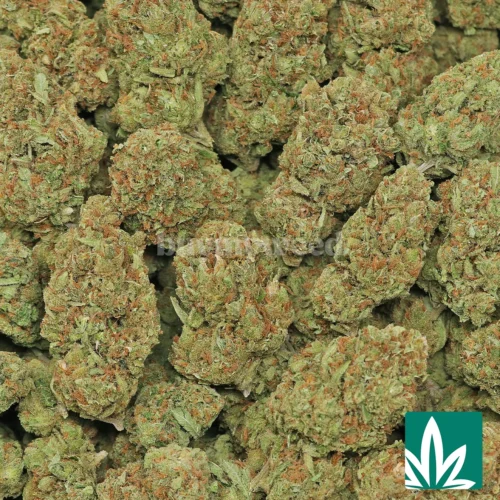 Green Crack Strain - 2