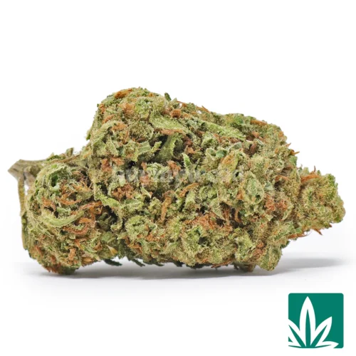 Green Crack Strain - 1