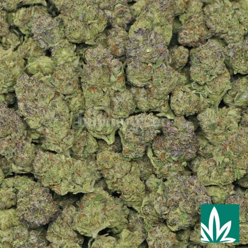 Ice Cream Cake Strain - 2